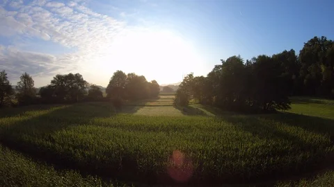 AERIAL Corn field at sunset Stock Footage 121962645