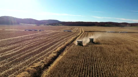 Aerial of corn fields as two combines work Stock Footage 272715630