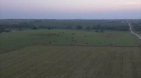 Aerial Cornfield Sunset 4K Stock Footage 55272347