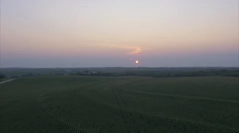 Aerial Cornfield Sunset 4K Stock Footage 55272512