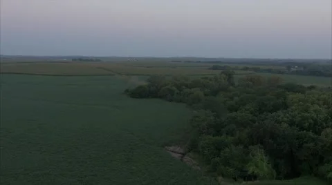 Aerial Cornfield Sunset 4K Stock Footage 55272639
