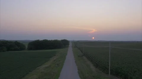 Aerial Cornfield Sunset 4K Stock Footage 55273117
