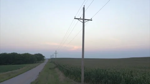 Aerial Cornfield Sunset 4K Stock Footage 55273144