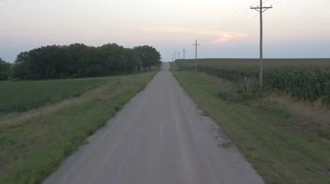 Aerial Cornfield Sunset 4K Stock Footage 55273180