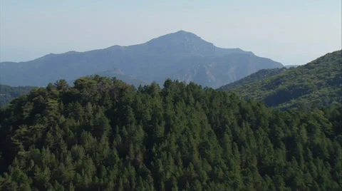 Aerial corsica mountain forest Stock Footage