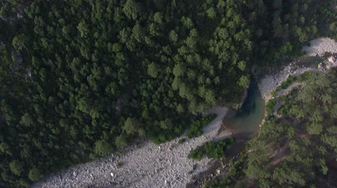 Aerial corsica river trees Stock Footage 35584081