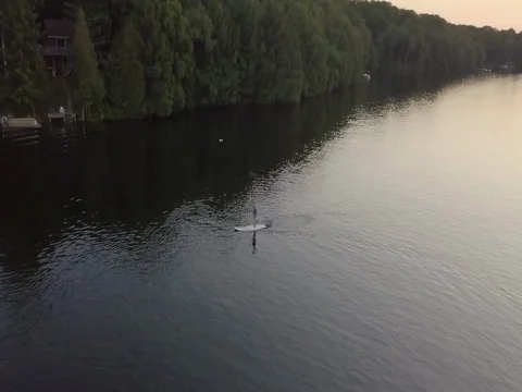 Aerial Cottage SUP Vidéo 79036517
