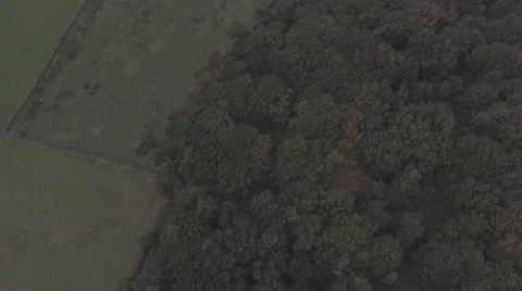 Aerial - Countryside Forest flyover to distant smoke 스톡 동영상 55876253