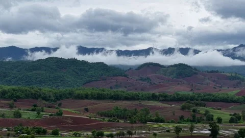 Aerial Countryside View – Rice Fields, Dirt Roads, and Mountains Stock Footage 310513783