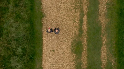 Aerial - Couple walking in field Stock Footage 59406117