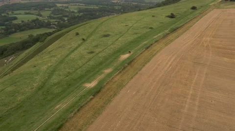 Aerial - Couple walking in field Stock Footage 59406869