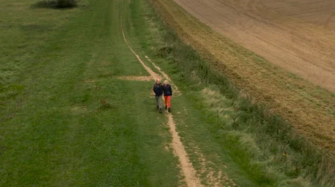 Aerial - Couple walking in field Stock Footage 59406941