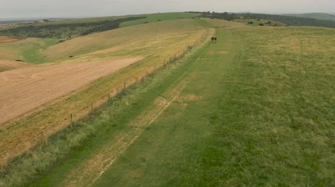 Aerial - Couple walking in field Stock Footage 59408099
