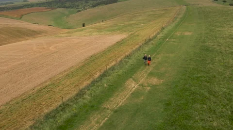 Aerial - Couple walking in field Stock Footage 59408384
