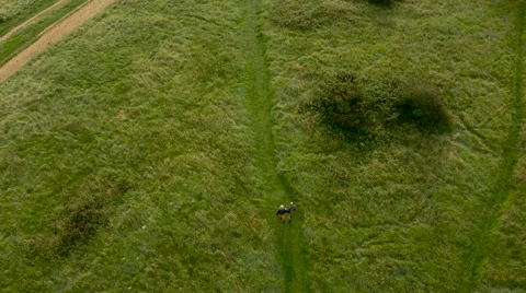 Aerial - Couple walking in field Stock Footage 59408562