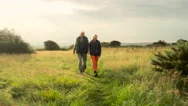 Aerial - Couple Walking In Field Stock Footage