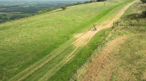Aerial - Couple walking in field Stock-Footage 59409391