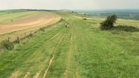 Aerial - Couple walking in field Stock Footage 59409665
