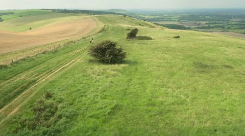 Aerial - Couple walking in field Stock-Footage 59411277