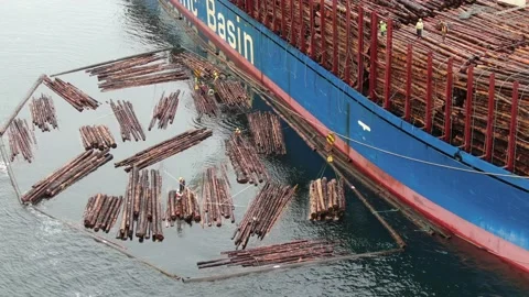 Aerial: Crane lifting bundle of logs out of the water Stock Footage 149899989