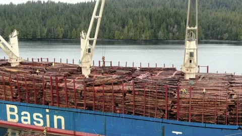 Aerial: Crane placing a bundle of logs on the deck of a freighter Stock Footage 149899539