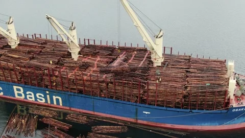 Aerial: Crane placing bundle of logs onto ships deck Stock Footage 149899720