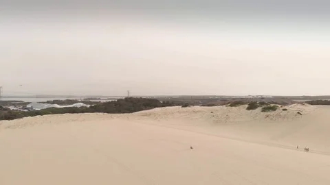 Aerial Cranes down Over Sand Dunes in Cronulla, Australia. Wide Shot Stock Footage 129113128