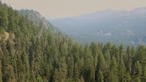 Aerial cresting forest ridge in mountains Stock Footage 135952353