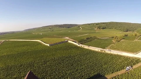 Aerial crossing of grape vines Stock Footage 83872972