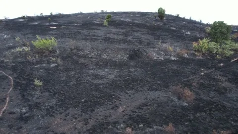 Aerial of damage caused by global warming and human irresponsibility . Stock-Footage 158901238