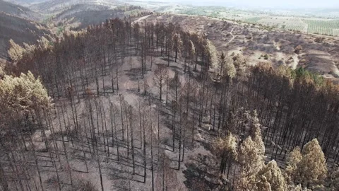 Aerial of damage caused by global warming and climate change. Stock-Footage 160850654