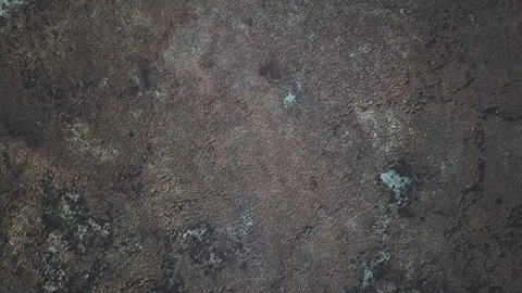 Aerial of a dead coral reef at Cloud 9 beach, pattern, background Stock Footage 129441702