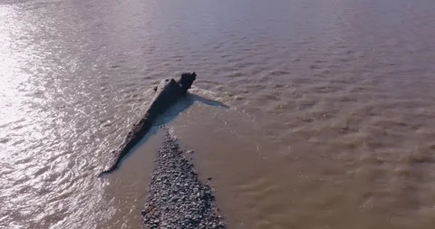 Aerial: Dead tree trunk in the river, Haast, New Zealand Stock Footage 246248977