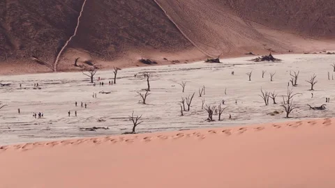 Aerial Deadvlei, Sossusvlei, Namibia, rust dunes and clay pan Vídeos de archivo 341439274
