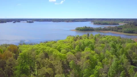 Aerial of deciduous forest in spring Slow 스톡 동영상 85969105