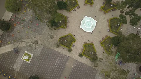 Aerial of decorative green structures on the paved area Stock Footage 103715483