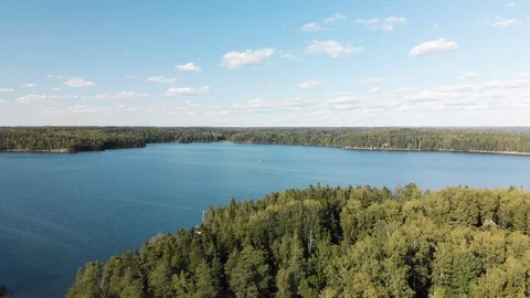 Aerial, decreasing, drone shot of forest at the coast of Puujarvi lake, on Video stock 113402865