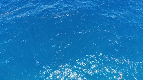 Aerial from Deep Blue Open Water to Turquoise Shallows, Panglao Bohol Stock Footage 336645219