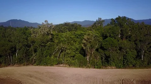 Aerial deforestation Stock Footage 80859306