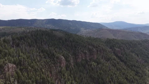 Aerial of dense coniferous forest over rolling mountains in Duchesne County Utah Stock-Footage 341988465