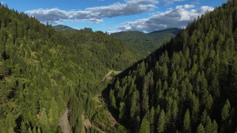 Aerial of dense forest and valley in Shoshone County Idaho along Pine Creek Stock Footage 336680278
