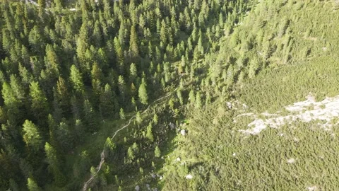 Aerial Of Dense Forest Below Dolomite Mountain Peaks, Italy Stock Footage 144412915
