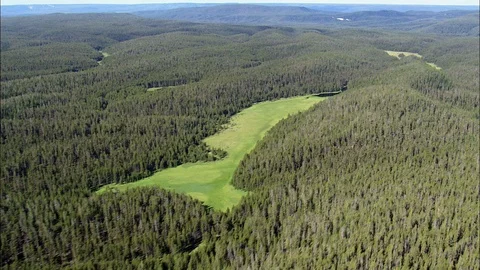 Aerial of dense forest trees, Mostly forest Stock Footage 109466553