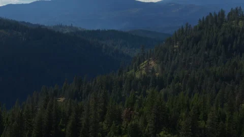 Aerial of dense pine forest landscape in Shoshone County Idaho in Spring Stock Footage 336680018