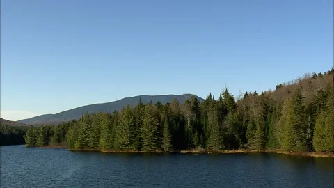 Aerial of dense pine tree forest along the river coast, Lakes In The Adirondacks Stock Footage 109137902