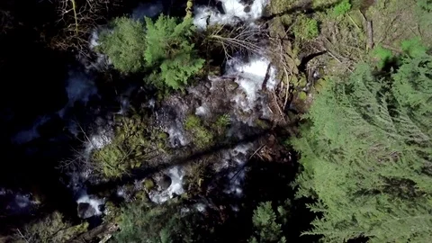 Aerial descending spin view of flowing river water in trees Stock-Footage 80684950