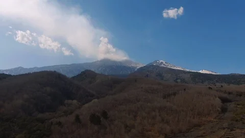 Aerial descending view from the summit of mount Etna to lava rock and trees 動画素材 110802329
