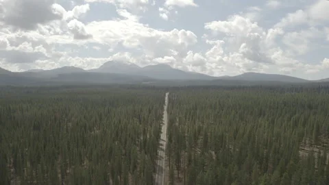 Aerial descends over highway through a forest by Lassen Volcanic National Park Stock Footage 324522959