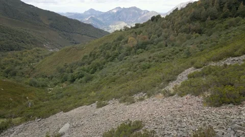 Aerial Descent to a Fall Forest from the bottom of a Mountain. Scenery shot. Stock Footage 140861520