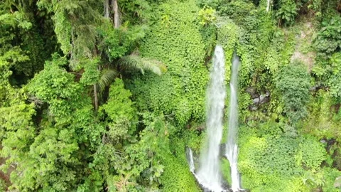 Aerial Descent Through Rainforest and Waterfall, Indonesia Stock Footage 150711758